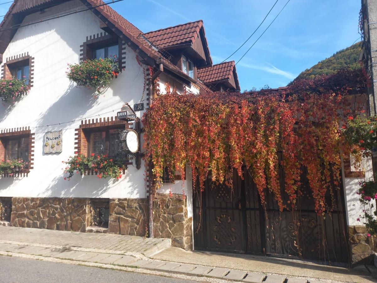 Casa De Vacanta Vidrighin Rau Sadului Exterior photo