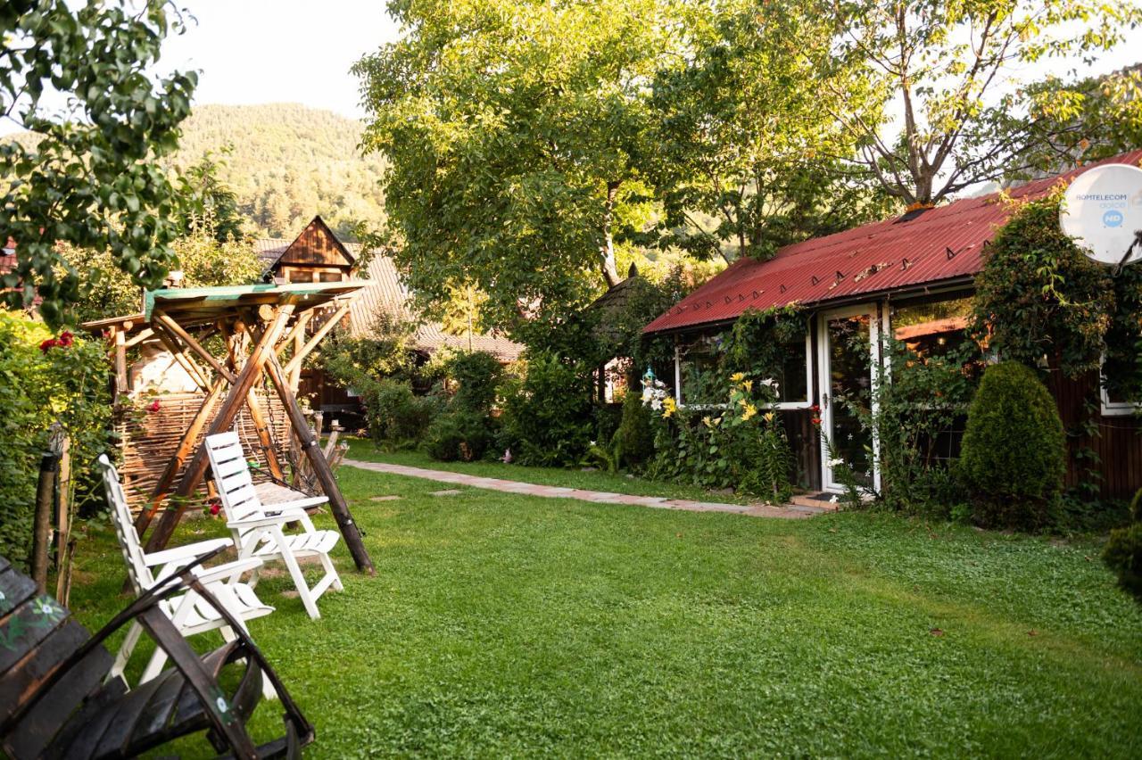 Casa De Vacanta Vidrighin Rau Sadului Exterior photo