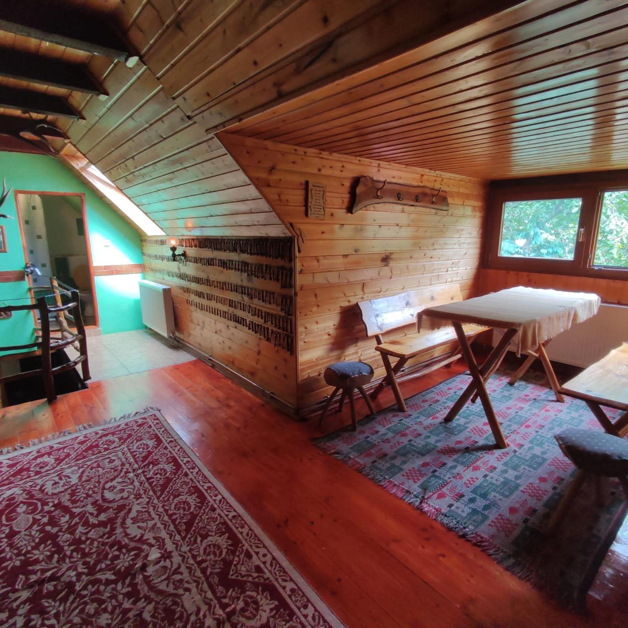 Casa De Vacanta Vidrighin Rau Sadului Room photo